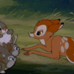 @@네이트판 움짤,짤방 출처가 궁금하다면!!!3탄@@