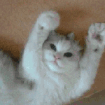 @@네이트판 움짤,짤방 출처가 궁금하다면!!!4탄@@