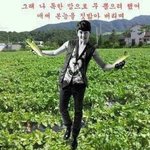 ✖✖✖<b>초심</b>을 잃은 호야✖✖✖