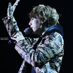 비스트
