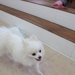 형 군대간다 한글이판 [33]