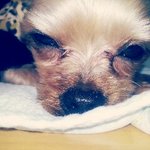 <b>아가</b>가 없어졌어요 꼭좀 한번만 읽어주세요 부탁드려요..