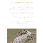 너네들이 잘 모르는 동물에 대한 것들.jpeg(펌)