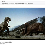 <b>호주</b>에서
