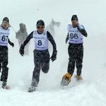 평창 스페셜 올림픽 세계대회 응원합니다