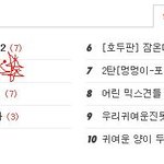 [냥판] 길고양이 두부3"