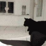 [오글주의]연애할때  하트가지고 싸운적있음ㅋㅋㅋㅋㅋㅋㅋㅋㅋㅋㅋㅋ