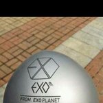 뷰티들너무불쌍함(타팬덤도봐주삼)