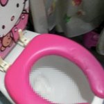 친구가우리집에서똥싸다변기막힌썰