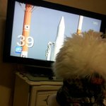 나로호 <b>발사</b>성공을 위해 응원하는 우리 구름이ㅋㅋ