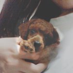 폭풍성장 콩이!!