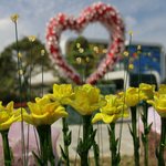 천혜자연속의 유리<b>조형물</b>! 제주유리의성