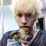 <b>동물</b>과 인증샷 찍은 연예인들