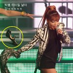 크고 작은 아이돌의 무대 <b>실수</b>