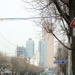 진짜 겁업는 강아지