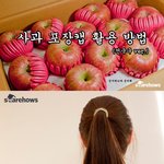 사과 포장캡의 <b>활용</b>법