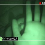 마이네임 채진 <b>자다</b> 일어나 귀요미