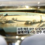 소주 맥주 와인과 찰떡궁합인 안주레시피~