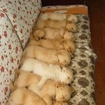 ctrl+<b>c</b>,ctrl+v