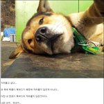 여친이 게임 하는거 너무 시러함