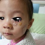 개념상실 의문투성이 어린이집사태 원장의 실태고발 사건사고<b>처리</b> 전말공개