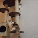 유퐁원정대(유봉이네)