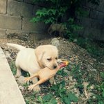 튼실한 막내 아구찜을 소개합니다.