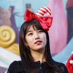 수지짤