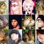 지드래곤 <b>햄스터</b>설