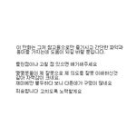 뉴스 안보는 컴쟁이들을 위한 세계정세 (4)