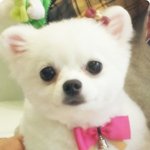 [10탄]2013년 깡총구름이가 돌아왔어요^^