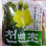천년초 들어보셨어요?