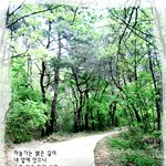 안상홍 하나님의 교회 역사속에서 찾아보는 유월절 <b>논쟁</b>
