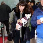 캐나다 신혼집으로 떠나는 선예