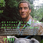 <b>베어</b>그릴스 개객끼야....