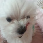 2살도 안됬는데 3번 죽을뻔한 내 아기