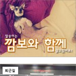<b>말썽</b>꾸러기 슈나우저 깜보와 함께 1화