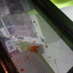 원주아카데미점 c×편의점의 <b>위생</b>상태를 고발합니다!!