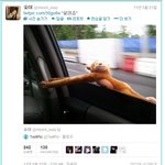 ===<b>수지님</b>도도로교통법위반이랑께===