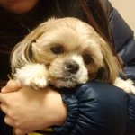 <b>땅콩</b>이의 일기