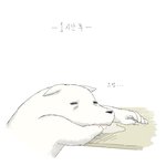 17금 하얀<b>늑대</b> 보드라워2.jpg