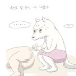 17금 하얀<b>늑대</b> 보드라워5.jpg