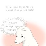 17금 하얀<b>늑대</b> 보드라워6.jpg