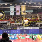 아육대 <b>붕어</b> 싸만코 등장? 알고보니 제3의 선수?