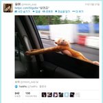 ++++++수지 교통법 <b>위반</b>++++++