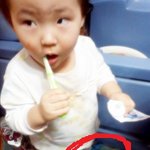 시끌벅적한 우리집 (사진有)