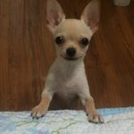 우리집이 문제인거 맞죠?