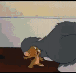 음란마귀 . <b>gif</b>