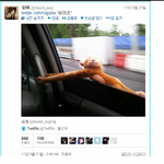 교통법위반 수지와 <b>정은지</b>의차이