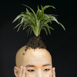 나지금독서실에서뭐하니는<b>b.a.p</b>덕질